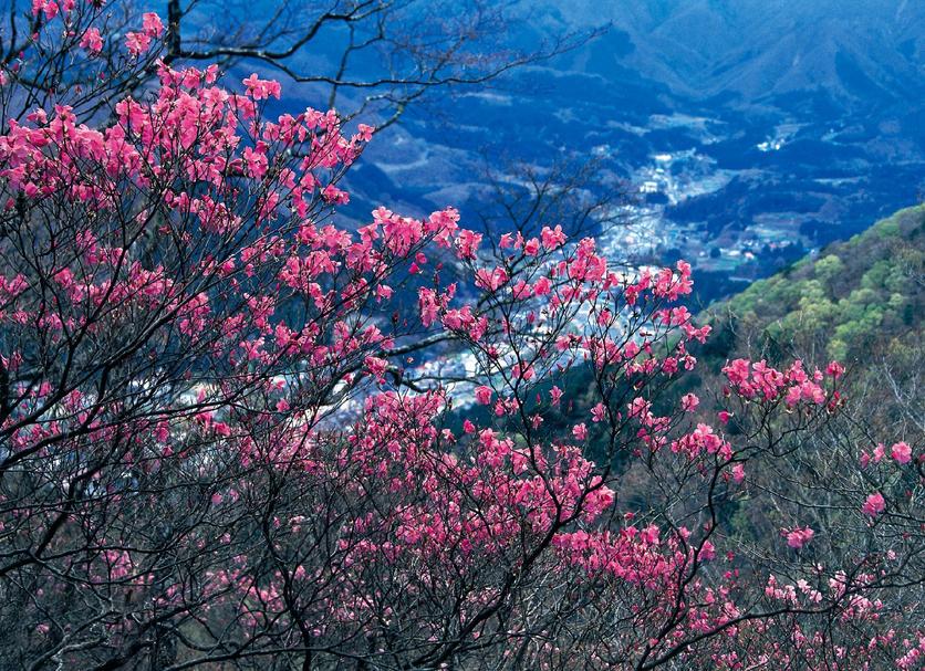 室外景 相片