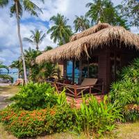棕櫚葉度假酒店 - 龜島