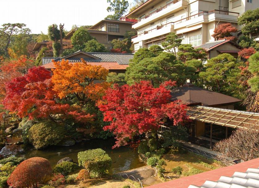 室外景 相片