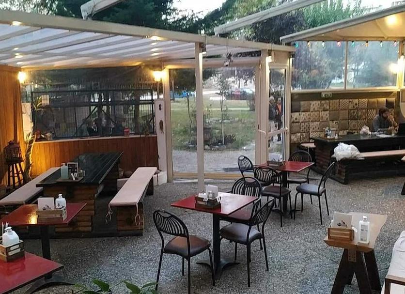 餐廳 相片