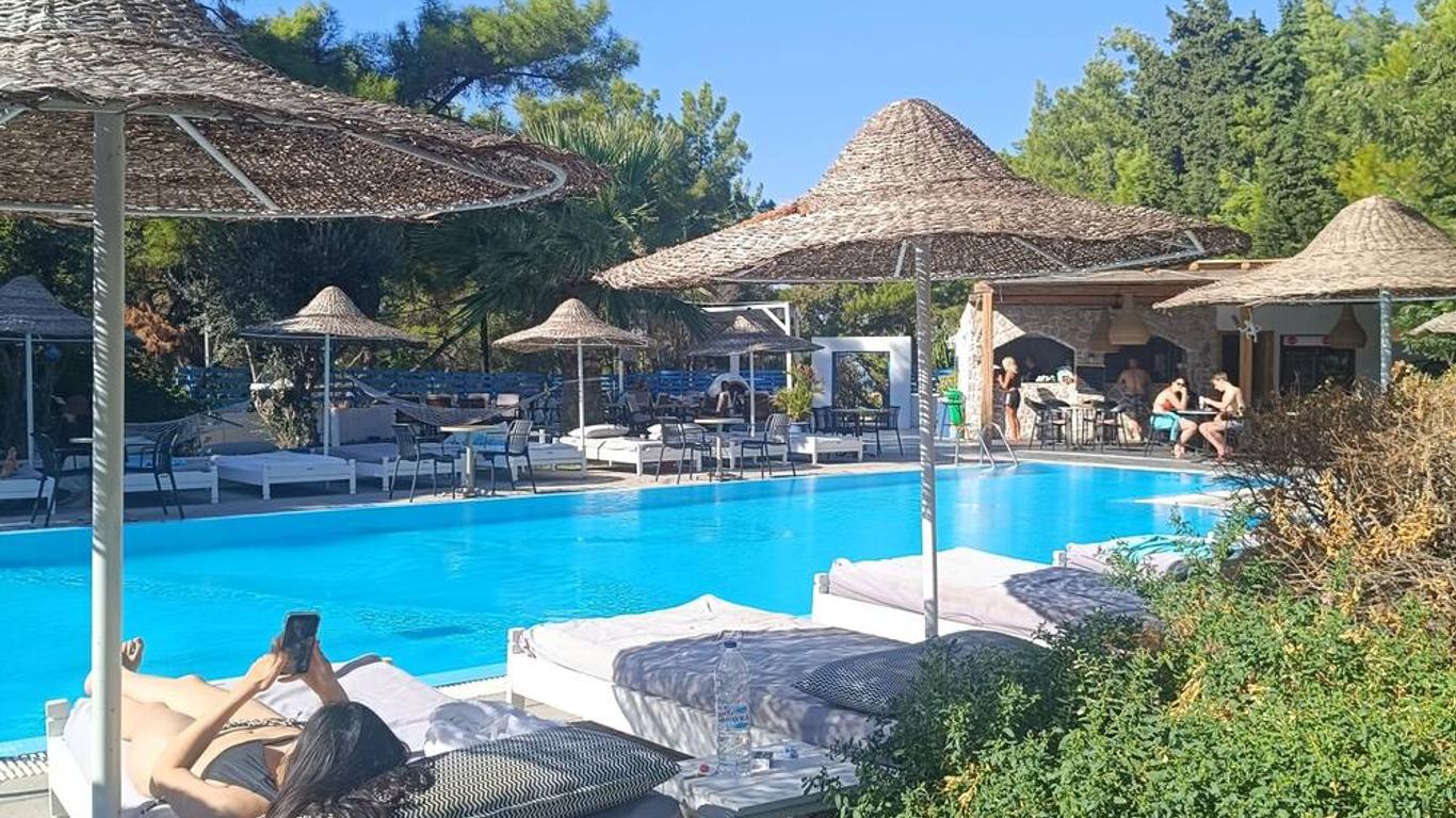 松樹藝術酒店 - Rhodes (羅得斯公園)