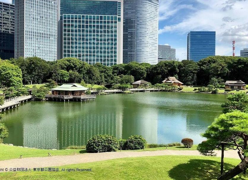 室外景 相片