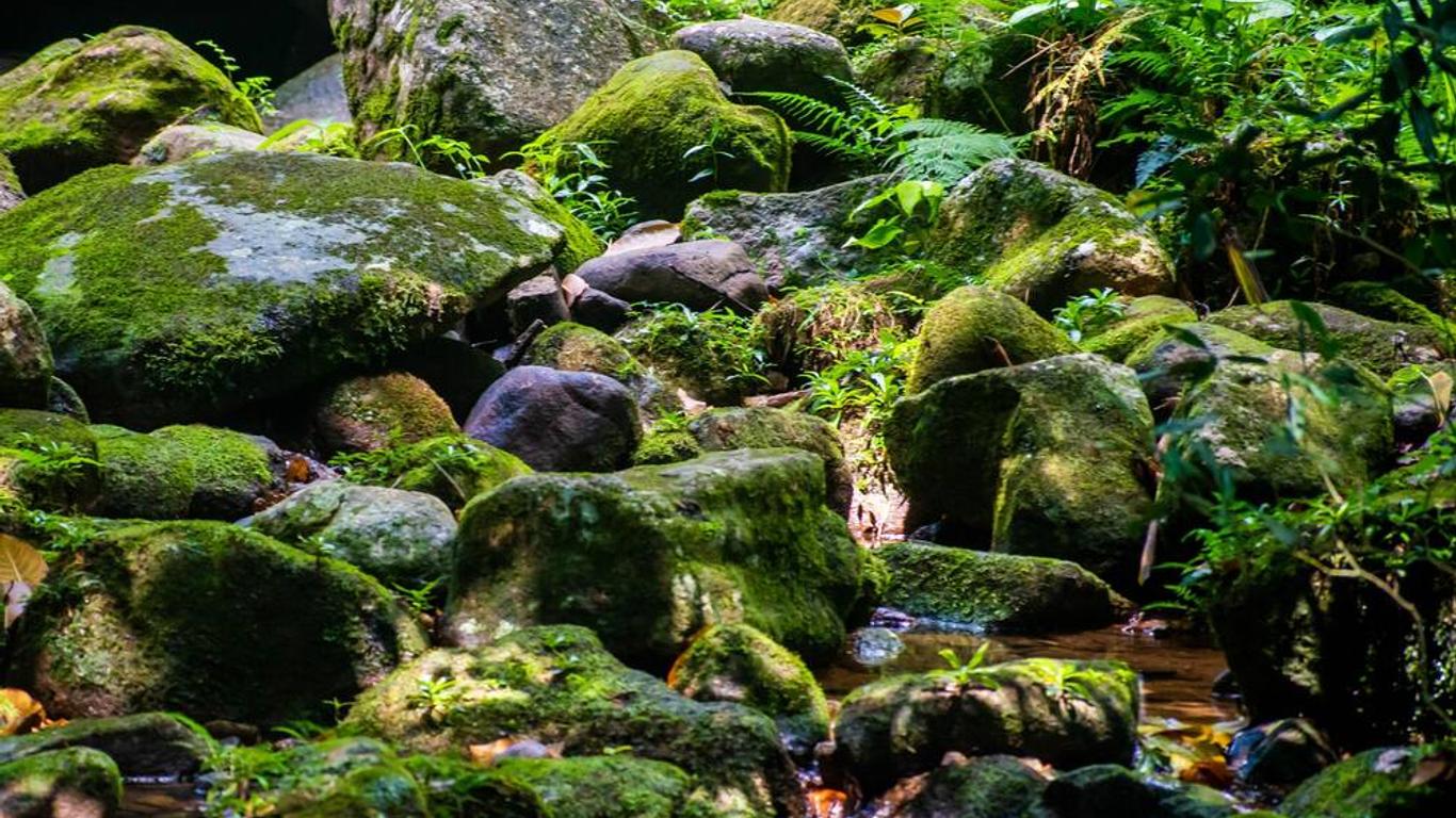 歐魯普雷爾德旅館 - 格蘭德島灣