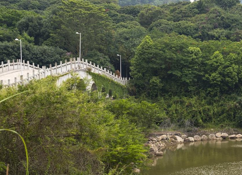 室外景 相片