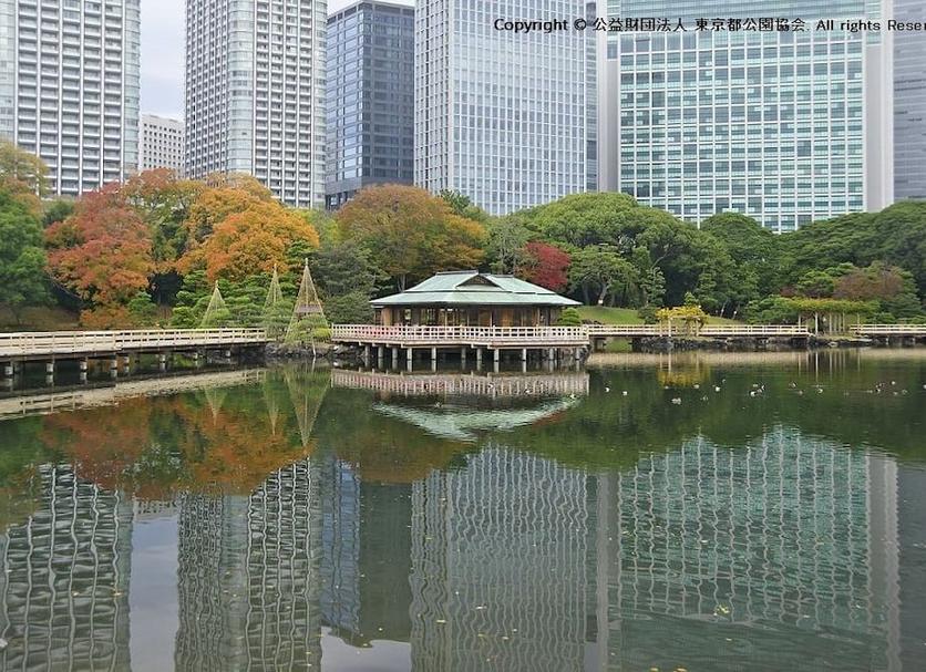 室外景 相片