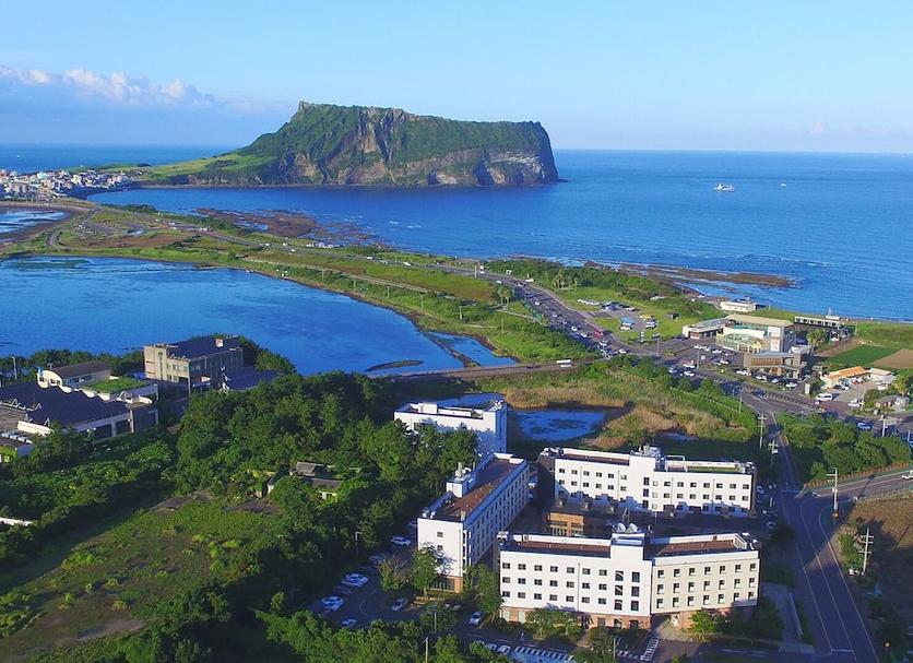 室外景 相片