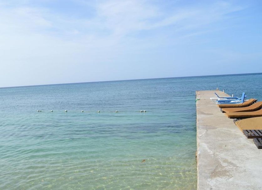 海灘 相片
