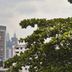 室外景