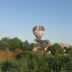 自助餐