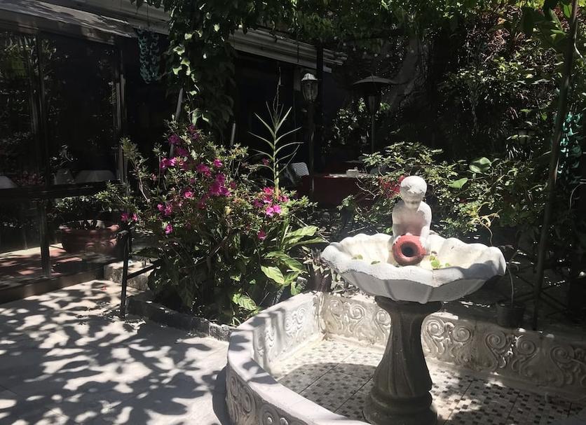 其他 相片