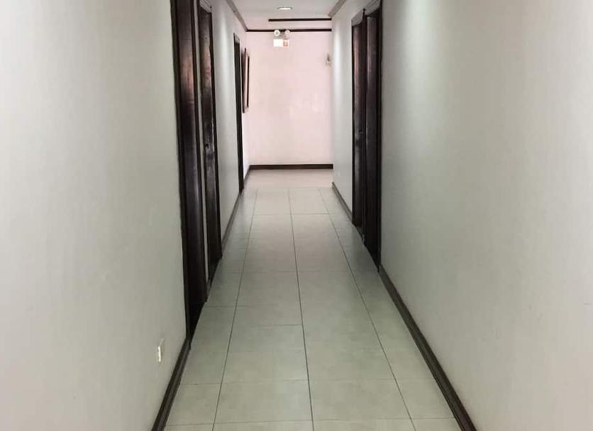 其他 相片