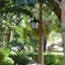 室外景