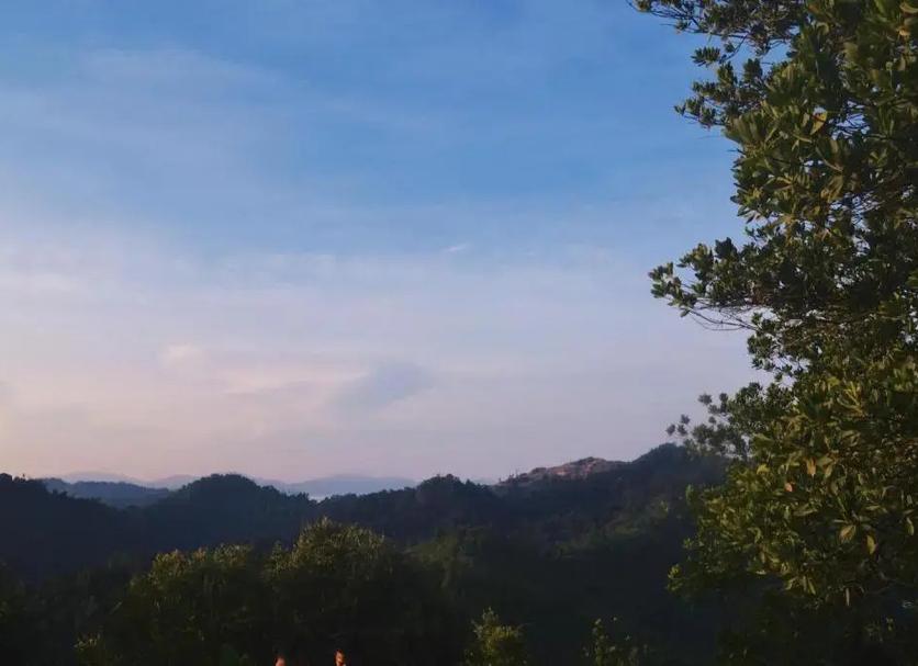 室外景 相片