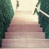 階梯